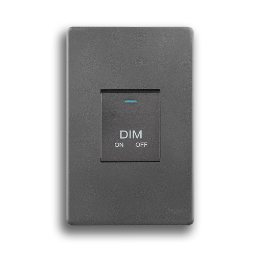 SYNERJI DECO 2X4 DIMMER SWITCH, MATT GREY