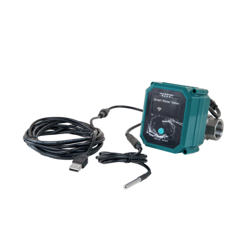 SHELLY FRANKEVER SMART WATER VALVE